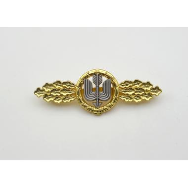 Long Range Day Fighter  Squadron Clasp in Gold